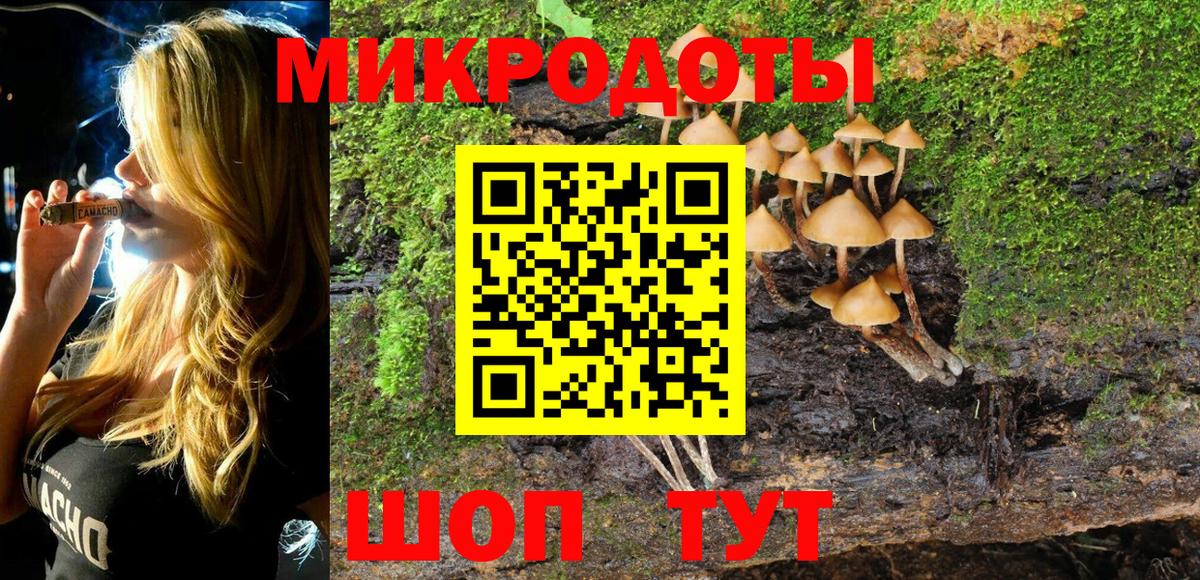 Курчалой  Галлюциногенные грибы мицелий  Галлюциногенные грибы прущие грибы  Вход с VPN 