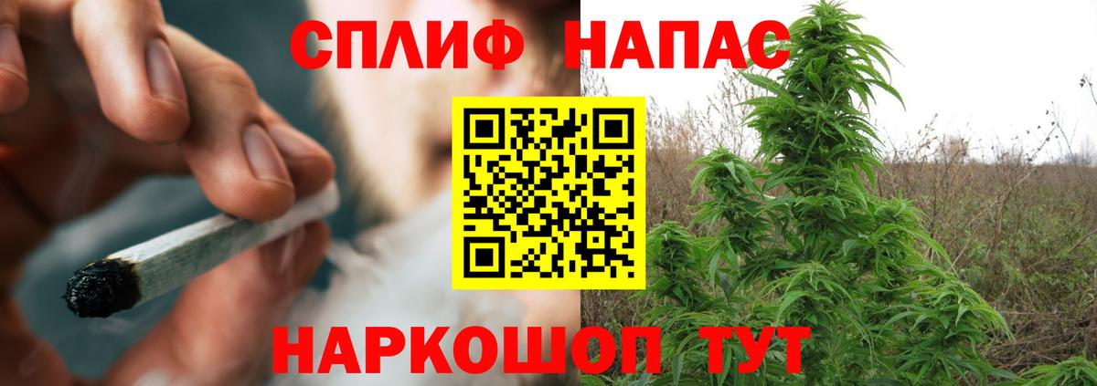 МАРИХУАНА тримм Курчалой